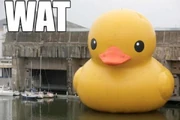 25810