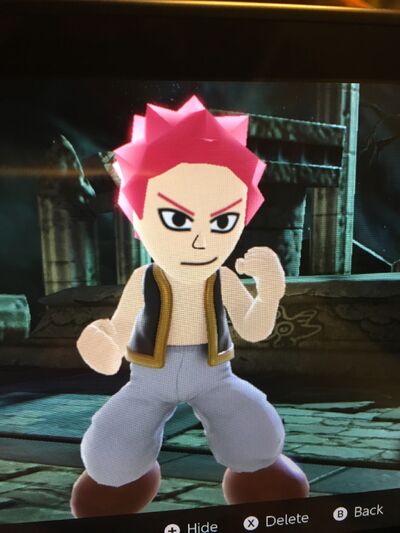 Natsu in Smash