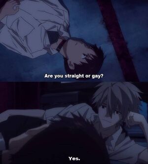 Evangelion are you straight or gay