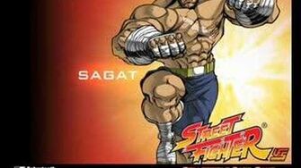 Ryu Vs Sagat - Street Fighter 2 The Animated Movie OST