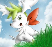 Shaymin sky forme by nintendo jr