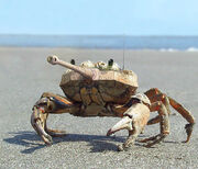 Using photoshop to create tankcrab