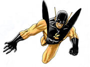 Yellow Jacket