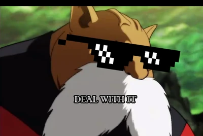 Dealwithtoppo