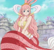 Shirahoshi Anime Infobox