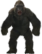 Legendary Kong Transparent