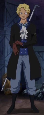 Sabo Anime Infobox