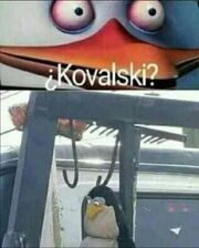 Kovalski