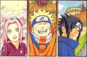 Team-7-together