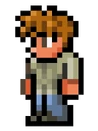 Theguide