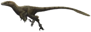 Utahraptor ostrommaysorum