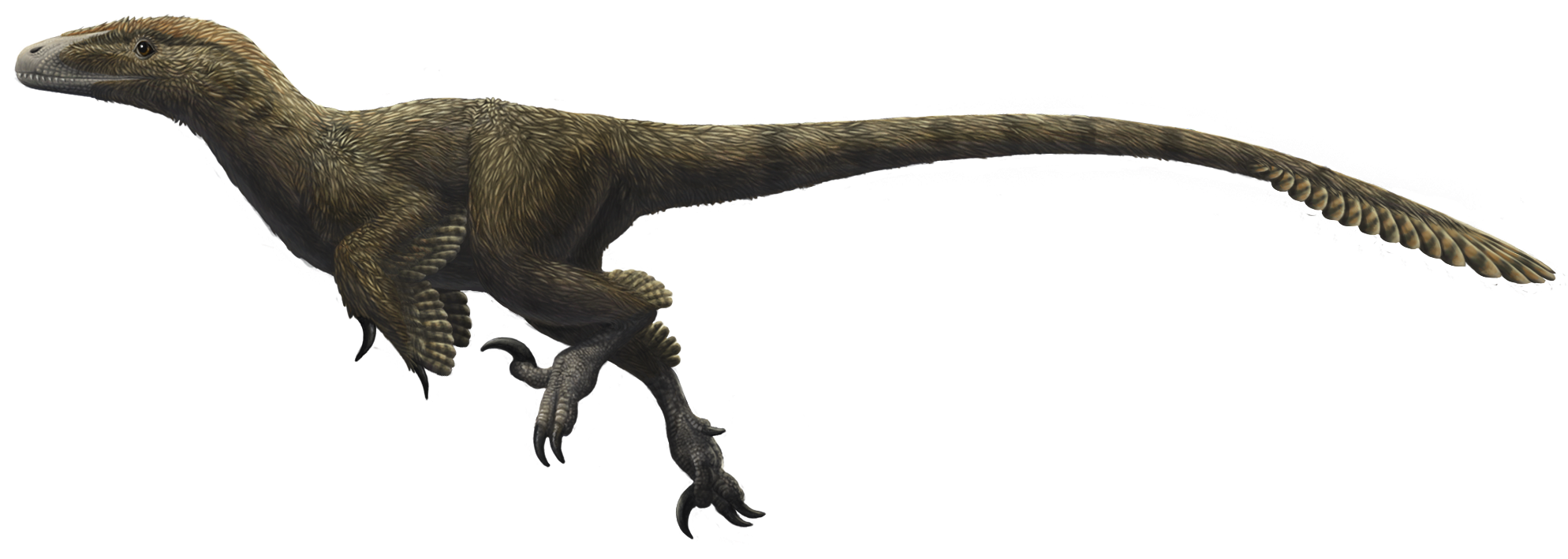 utahraptor dinosaur