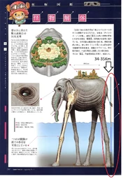Zunisha Height