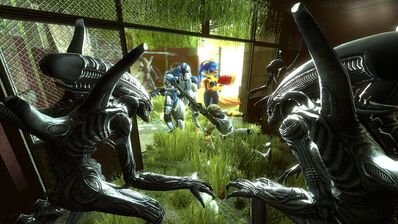 Clone Trooper Vs Xenomorph Vs Battles Wiki Fandom
