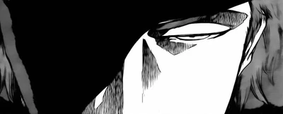 Aizen-talks-about-ichigo1