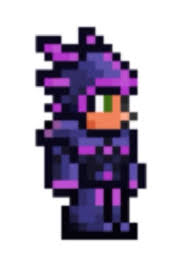 Shadow Armor Terrarian