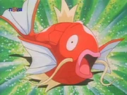 Magikarp