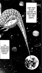 Mother Snake Mother Snake