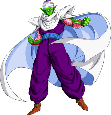 Piccolo5F9 Piccolo5F9