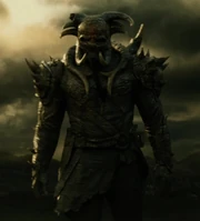 Algrim-the kurse