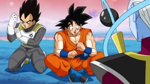 Goku and Vegeta heal3 Goku and Vegeta heal3