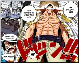 Whitebeard Whitebeard