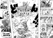 Zoro savage