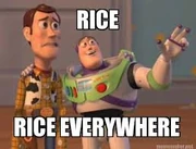 Rice