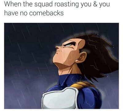 When-The-Squad-Roasting-You-You-Have-No-Comeback-On-Dragon-Ball-Z-Black-Twitter