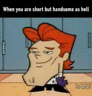 When you short but handsome