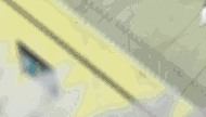 NekoRinbu