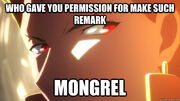 Bsbahimage Bsbahimage