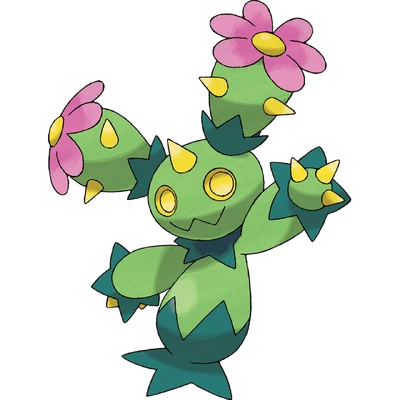 Maractus