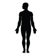 Human-body-vector-793339 Human-body-vector-793339
