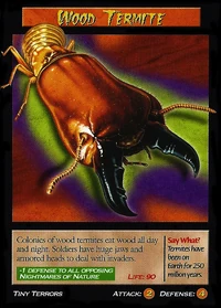 Wood Termite-1-