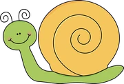 Snail