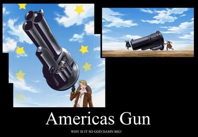 Americans gun