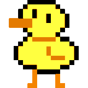 Bird Bird