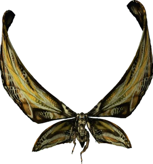 Mothrarender