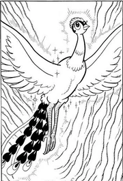 P149 The Phoenix