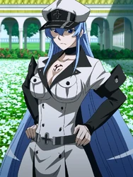 Esdeath Profile