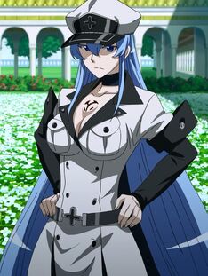 Esdeath Profile