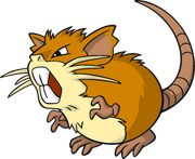 Raticate