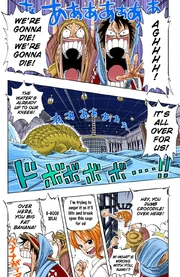 Alabasta time 2
