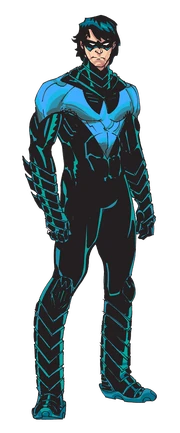 Nightwingnooutline