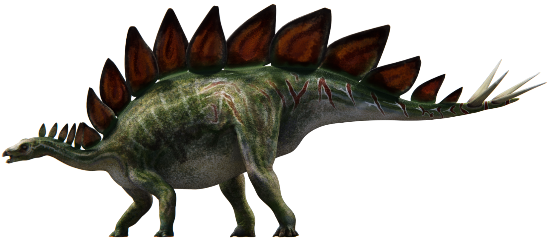 le stegosaurus