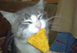 Dorito'sFate