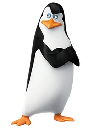Pom-kowalski03 Pom-kowalski03