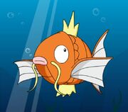 Magikarp-3