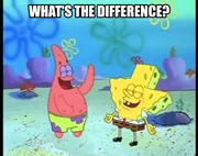 Whatzthediff